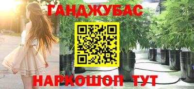 ECSTASY Будённовск