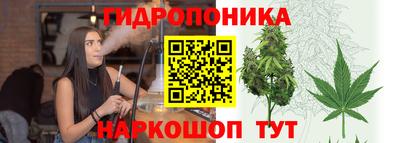 гидра Бузулук