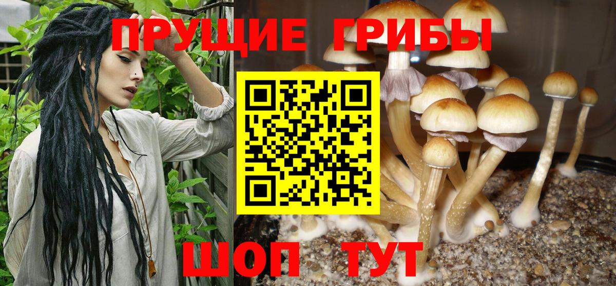 Псилоцибиновые грибы GOLDEN TEACHER Южно-Сахалинск